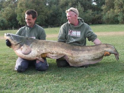 catfish fishing